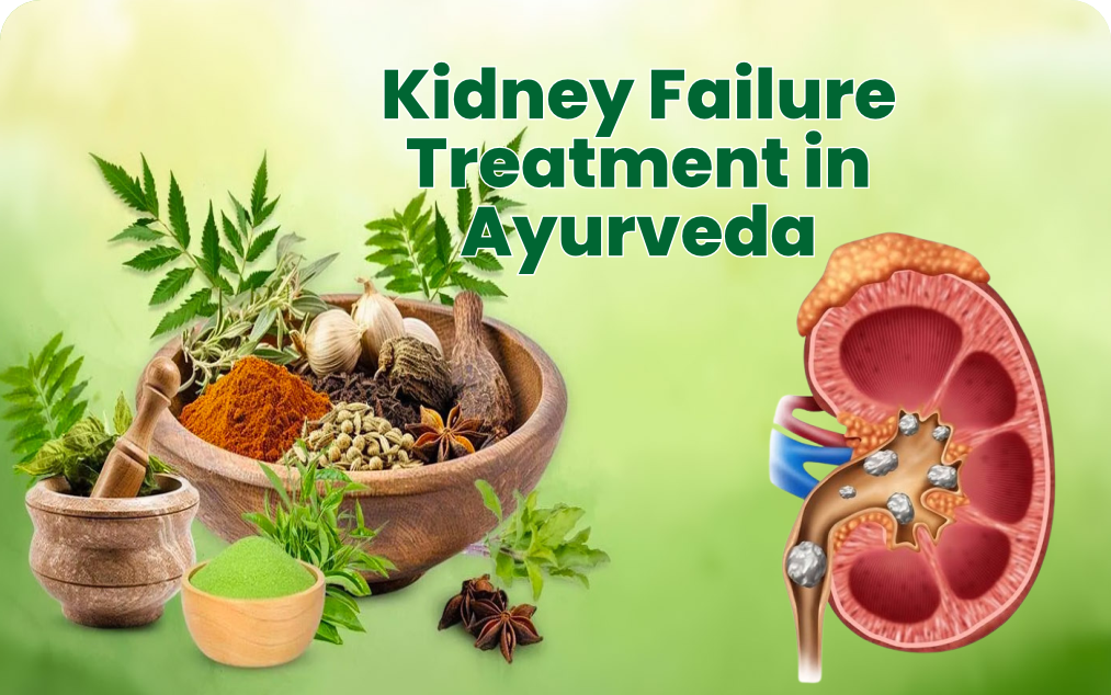Kidney Treatment